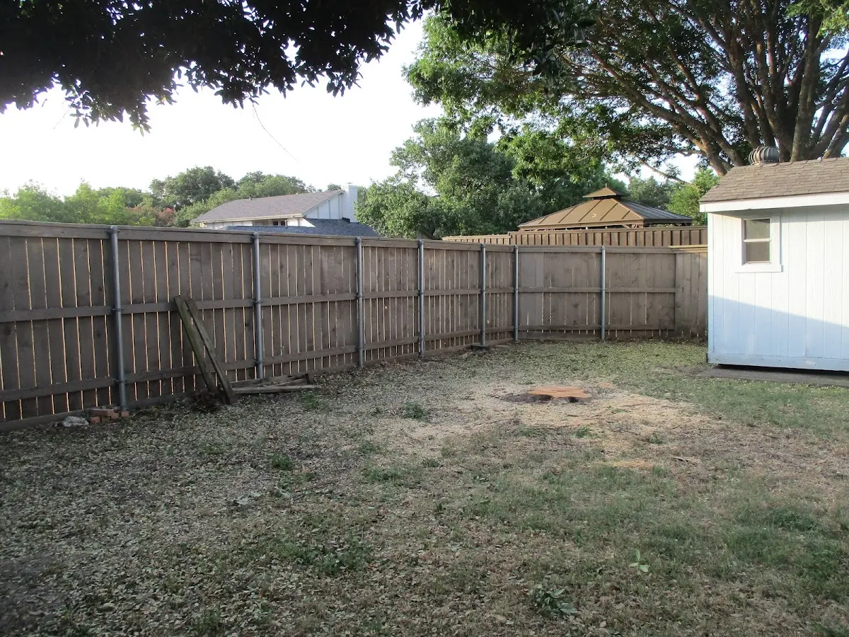 Cleared yard after professional tree removal in Lenox Dale