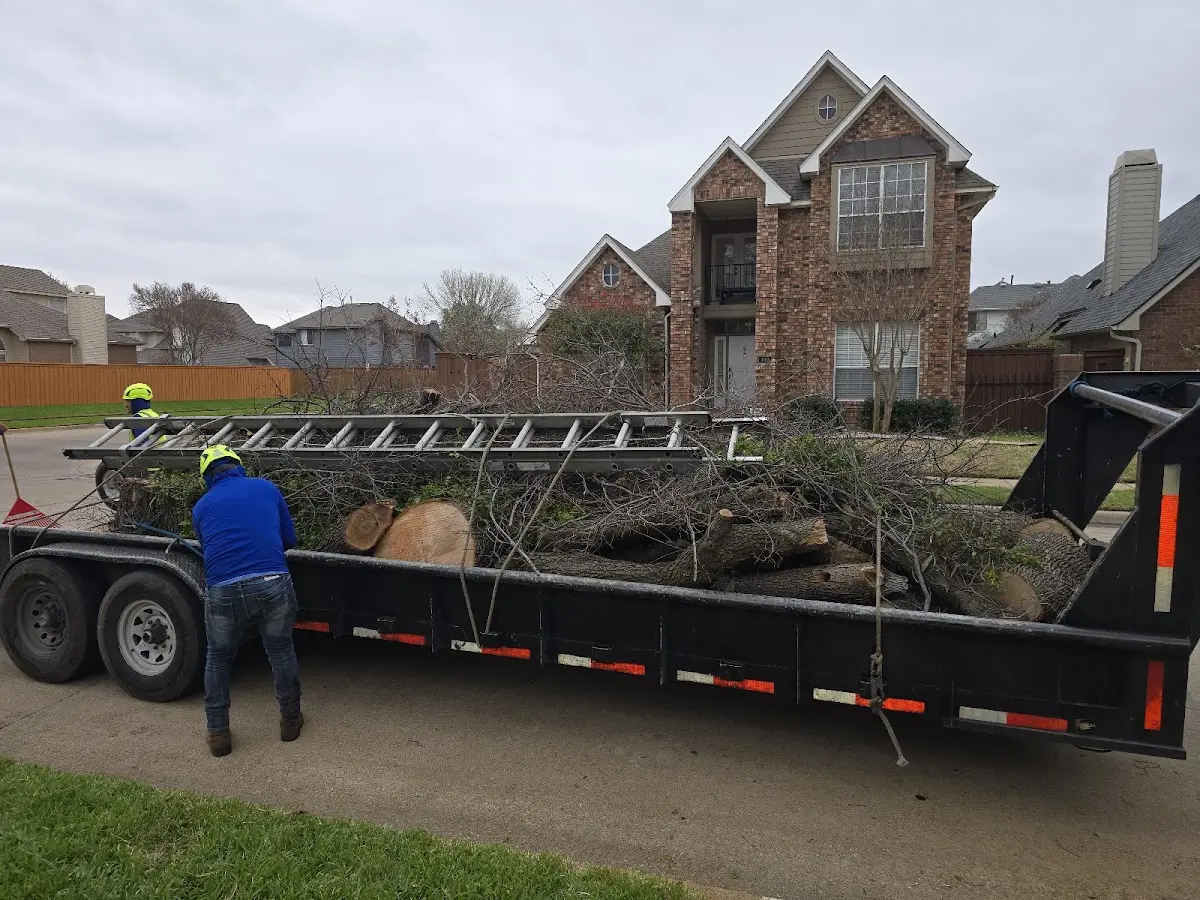 Expert Tree Removal with proper safety equipment in Lenox Dale